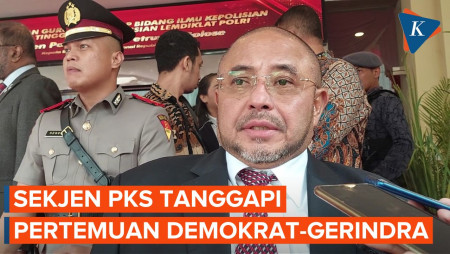 Gerindra Goda Demokrat Agar Pindah Koalisi, PKS: Enggak Menggoda Bukan Politik Namanya