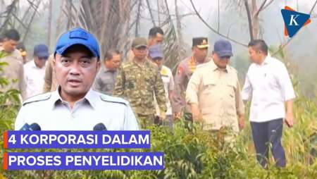 Mensesneg: Korporasi yang Ditemukan Terlibat Karhutla Kalimantan Izinnya Akan Dicabut