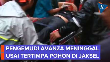 Pengemudi Mobil Tewas Tertimpa Pohon Di Dharmawangsa Jaksel