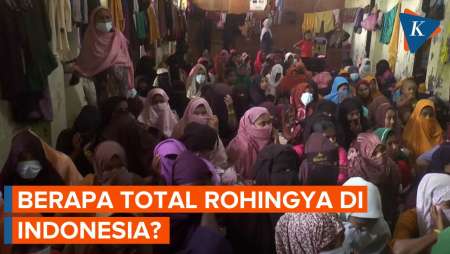 Berapa Total Pengungsi Rohingya di Aceh?