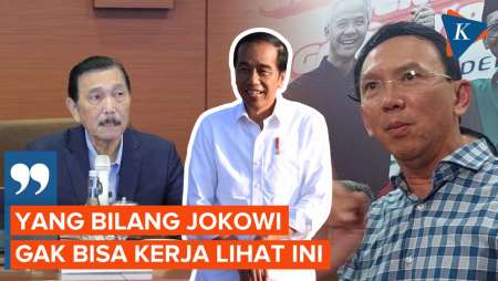 Semprot Ahok, Luhut: Yang Bilang Jokowi Enggak Bisa Kerja, Lihat dengan Kepalanya Ini!