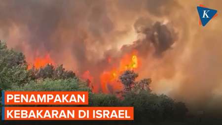 Kondisi Kebakaran di Israel: Jalan Utama Ditutup, Warga Mengungsi, dan Darurat Nasional