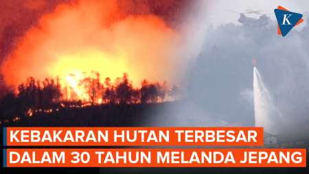 Jepang Alami Kebakaran Hutan Terburuk dalam 30 Tahun, 2.100 Hektar Lahan Dilalap Api