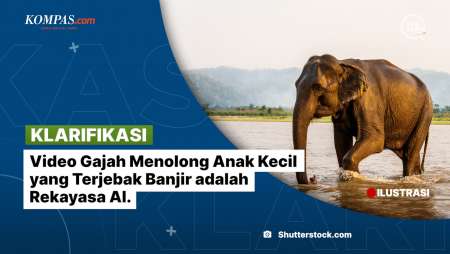 [KLARIFIKASI] Video Gajah Menolong Anak Kecil Yang Terjebak Banjir Adalah Rekayasa AI