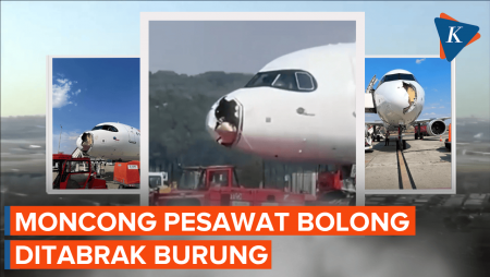Penampakan Lubang Menganga di Moncong Pesawat Iberia Usai Tabrak Burung