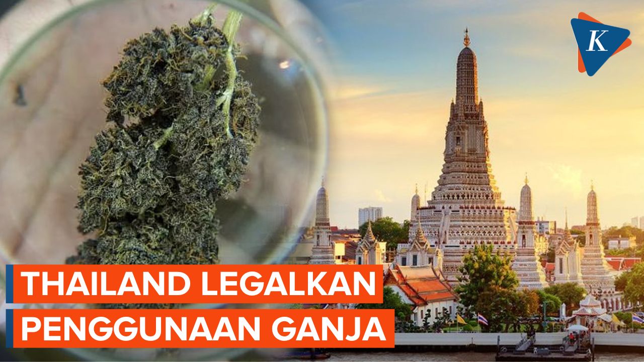 Thailand Longgarkan Aturan Penggunaan dan Penjualan Mariyuana
