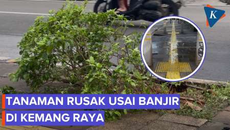 Taman di Trotoar Kemang Raya Rusak Usai Banjir Jakarta Tadi Malam