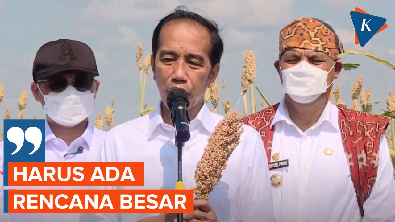 Terancam Krisis Pangan, Begini Rencana Jokowi