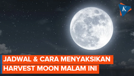 Fenomena Harvest Moon Malam Ini, Berikut Jadwal Dan Cara Menyaksikannya