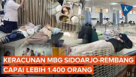 Keracunan MBG Berulang: 668 Orang Di Sidoarjo, 777 Orang Di Rembang