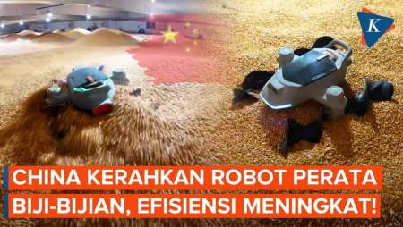 China Kerahkan Robot Cerdas Untuk Meratakan Biji-bijian, Efisiensi Meningkat Drastis!