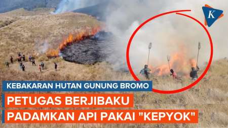 Berjibaku Padamkan Kebakaran Bromo, Petugas Pukul Api Pakai Pemukul Api