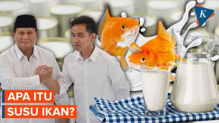 Mengenal Susu Ikan yang Dinilai Bukan Susu Asli