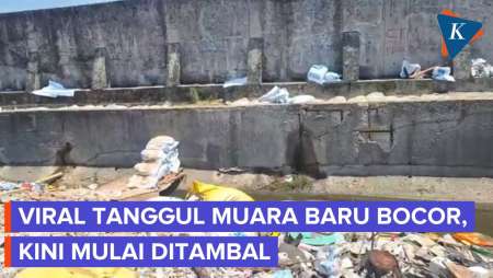 Viral Tanggul Muara Baru Jakut Bocor, Begini Kondisinya