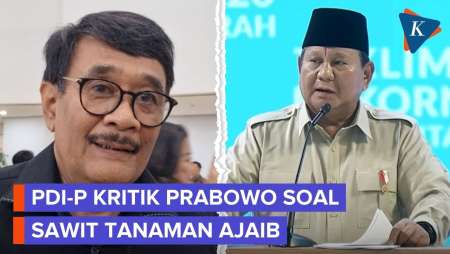 Prabowo Sebut Sawit Tanaman Ajaib, PDI-P: Itu Tanaman Arogan