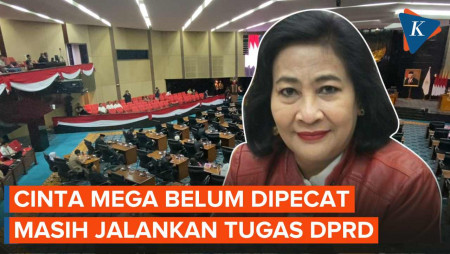 PDI-P Sebut Cinta Mega Sudah Dipecat, padahal Masih Jalankan Tugas Jadi Wakil Rakyat