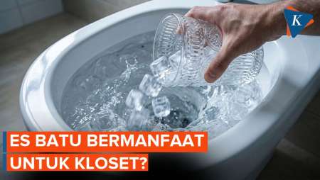 Manfaat Rutin Buang Es Batu ke Kloset Seminggu Sekali
