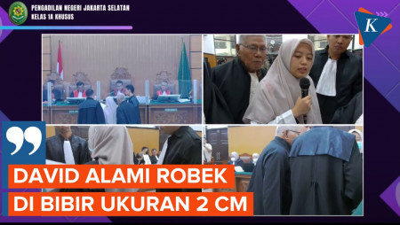 Di Pemeriksaan Awal, David Luka Memar dan Robek di Wajah