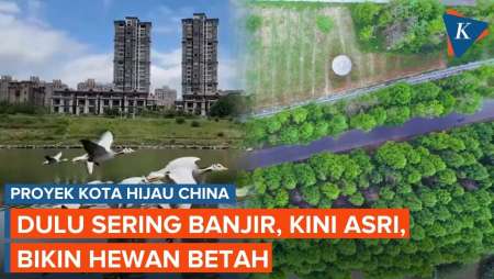 China "Sulap" Kawasan Banjir Jadi Kota Hijau di Tengah Gedung Pencakar Langit