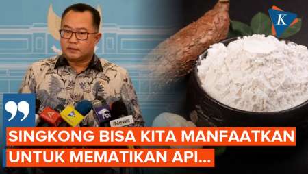 BRIN Siap Uji Coba Tepung Singkong untuk Padamkan Kebakaran Hutan