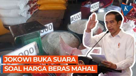 Harga Beras Melonjak! Kata Jokowi Ini Biang Keroknya