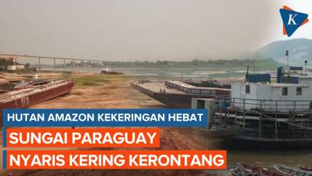 Penampakan Hutan Amazon Kekeringan Hebat, Sungai Paraguay Nyaris Kering Kerontang