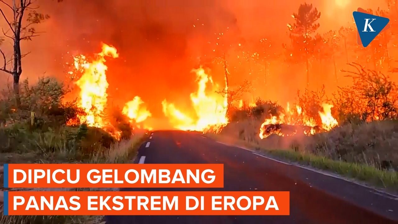 Kebakaran Hutan di Perancis Meluas, 8.000 Warga Dievakuasi