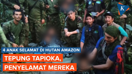 Ternyata karena Makanan Ini, 4 Anak Korban Kecelakaan Pesawat di Hutan Amazon Selamat