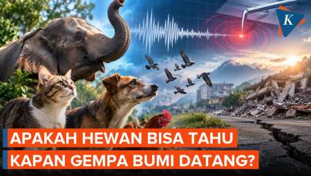 Apakah Hewan Bisa Prediksi Gempa Bumi?