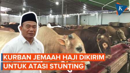 Kemenko PMK: Kami Akan Datangkan Daging Kurban dari Jemaah Haji Indonesia