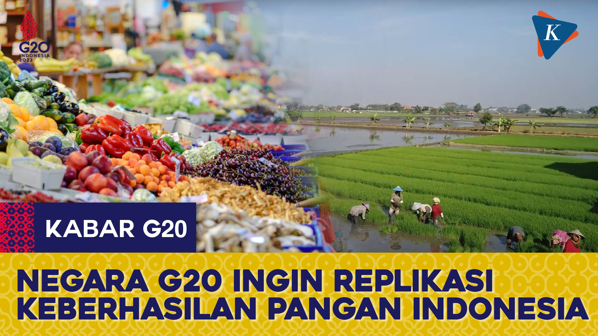 Negara G20 Ingin Replikasi Keberhasilan Indonesia di Sektor Pangan