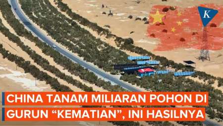 Cara China Sulap Gurun Berjuluk "Lautan Kematian" Jadi Penyerap Karbon