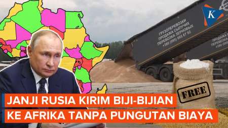 Menanti Rusia Penuhi Janjinya Kirim Biji-bijian ke 6 Negara Afrika…