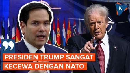 Menlu AS Sebut Trump Kecewa pada NATO, Ada Apa?