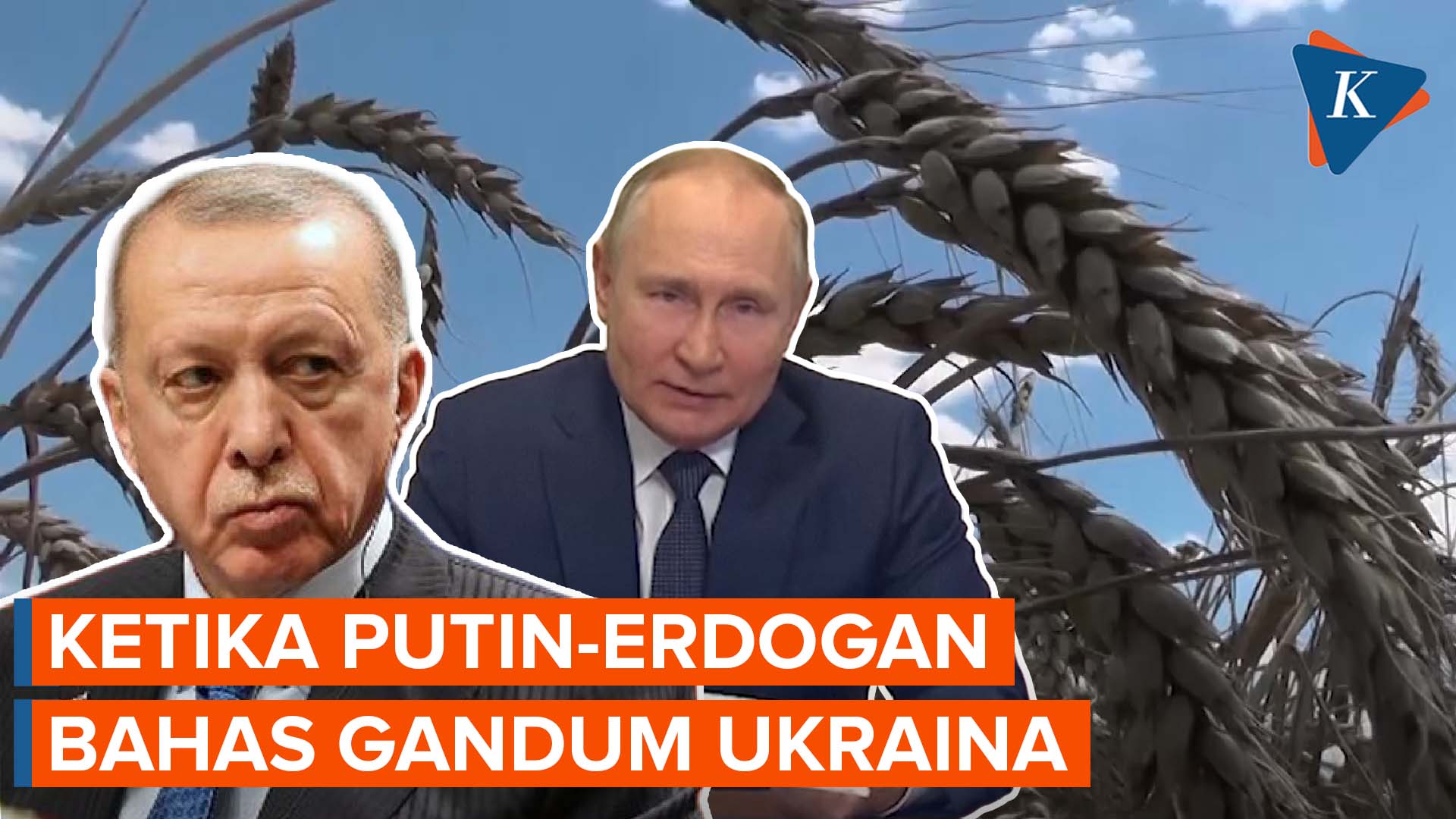Bertemu Erdogan, Putin Bahas Ekspor Gandum Ukraina
