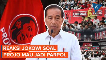 Soal Wacana Projo Jadi Partai Politik, Jokowi: Terserah Projo