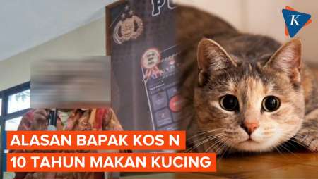 [FULL] Pengakuan Bapak Kos di Semarang 10 Tahun Jadi Pemakan Kucing