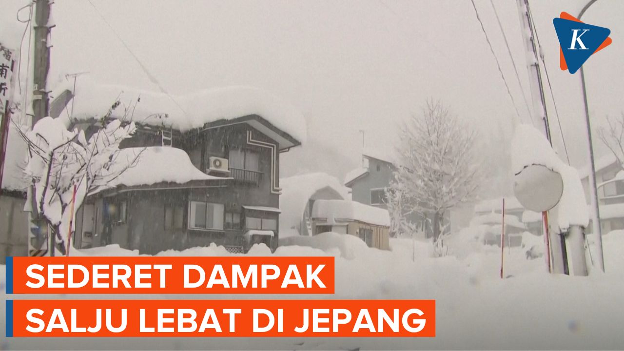 Salju Lebat di Jepang Mengakibatkan Penangguhan Penerbangan hingga Belasan Orang Tewas