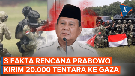 3 Fakta Rencana Prabowo Kirim Pasukan Perdamaian Ke Gaza