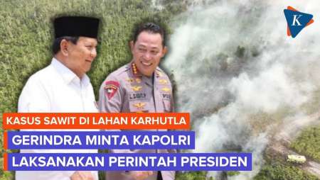 Gerindra Dukung Perintah Prabowo ke Kapolri soal Pembakar Hutan