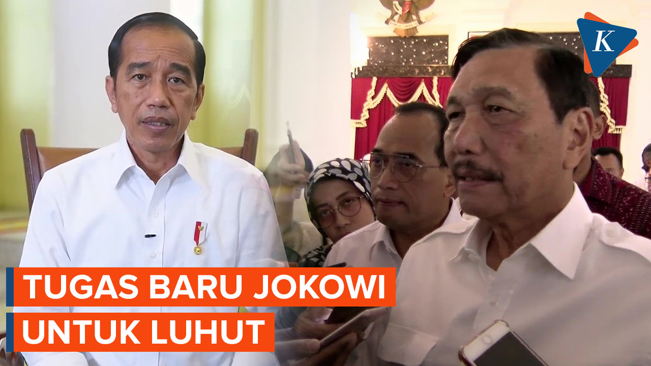 Luhut Diperintah Jokowi Urus Masalah Minyak Goreng