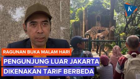 Soal Ragunan Buka Malam Hari, Akan Ada Perbedaan Tarif Pengunjung