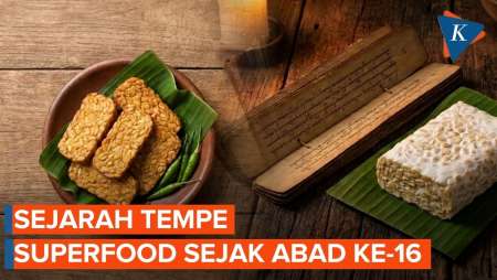 Memahami Sejarah Tempe Dalam 4 Menit