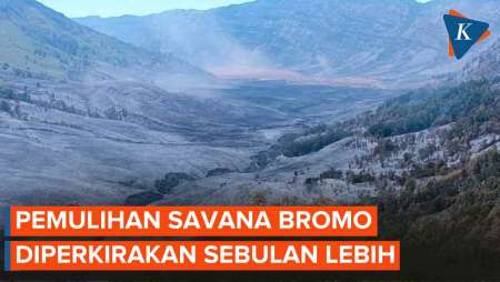 Pemulihan Ekosistem Bromo Capai Rp 3,5 M Akibat Kebakaran dari Flare Prewedding