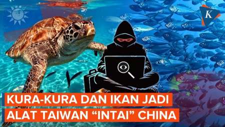 Kura-kura Dan Ikan Jadi Mata-mata Di Laut China