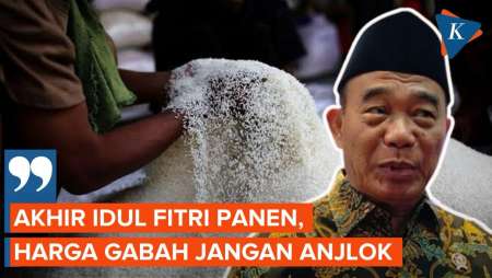 Masuki Masa Panen pada Lebaran Nanti, Menko PMK Harap Harga Gabah Tak Anjlok