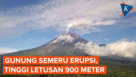 Gunung Semeru Erupsi Hari Ini, Semburkan Letusan Setinggi 900 Meter