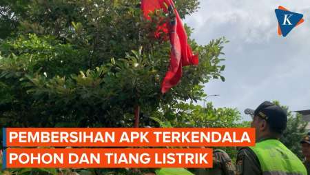 Satpol PP Kesulitan Copot APK yang Ada di Pohon dan Tiang Listrik