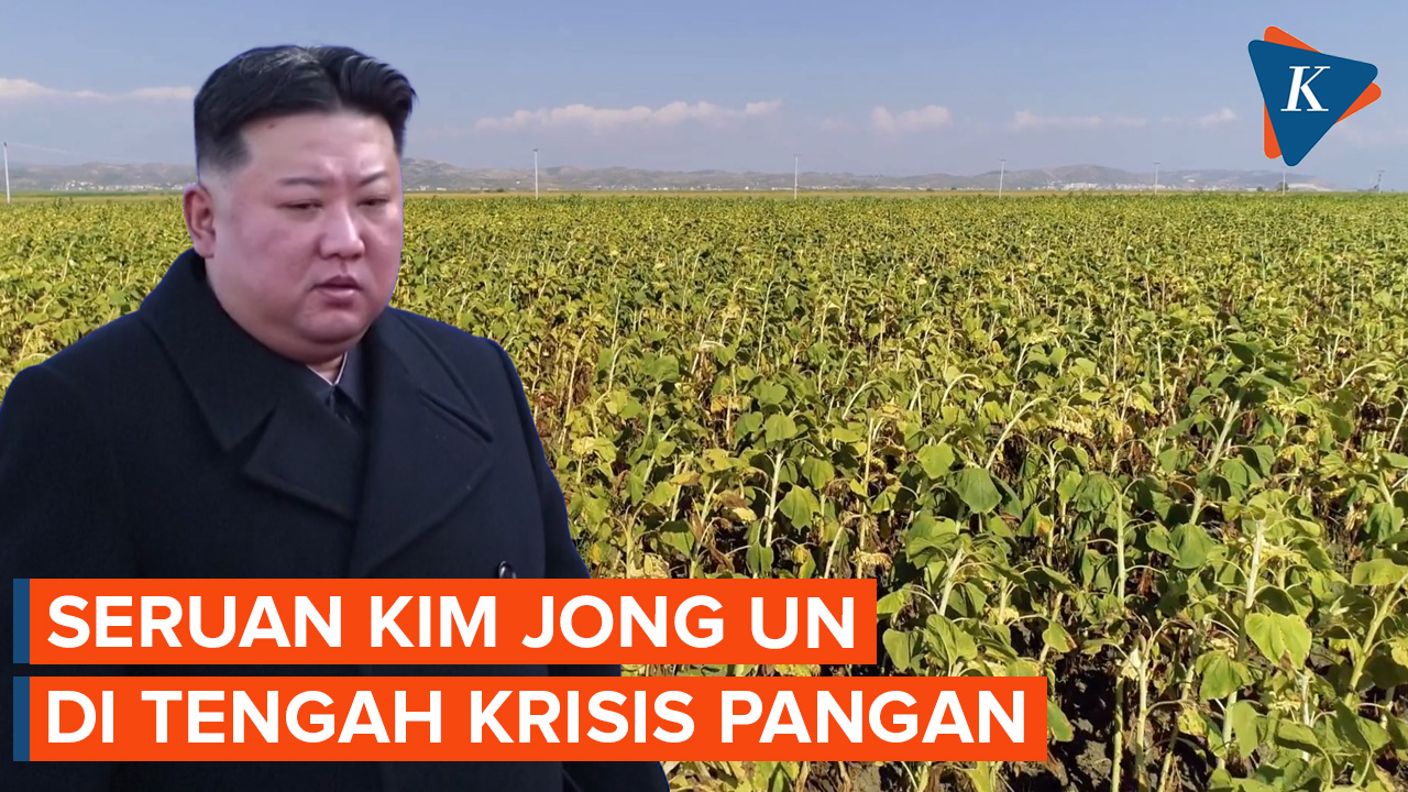 Korea Utara Defisit Pangan, Kim Jong Un Kejar Target Produksi Biji-bijian
