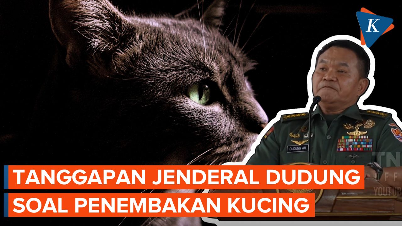 Jenderal Dudung Tanggapi Singkat soal Brigjen TNI Tembaki Kucing di Bandung
